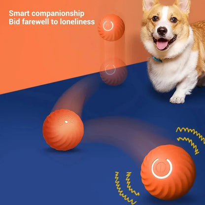 USB Smart Interactive Dog Toy Ball – Automatic Moving, Bouncing, and Rolling Chew Ball for Puppies