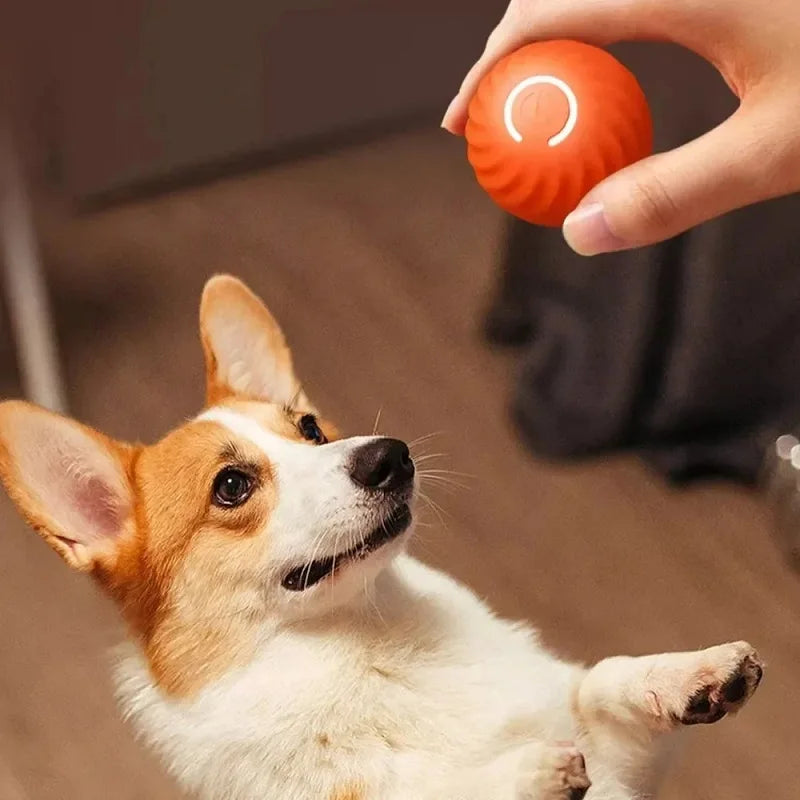 USB Smart Interactive Dog Toy Ball – Automatic Moving, Bouncing, and Rolling Chew Ball for Puppies